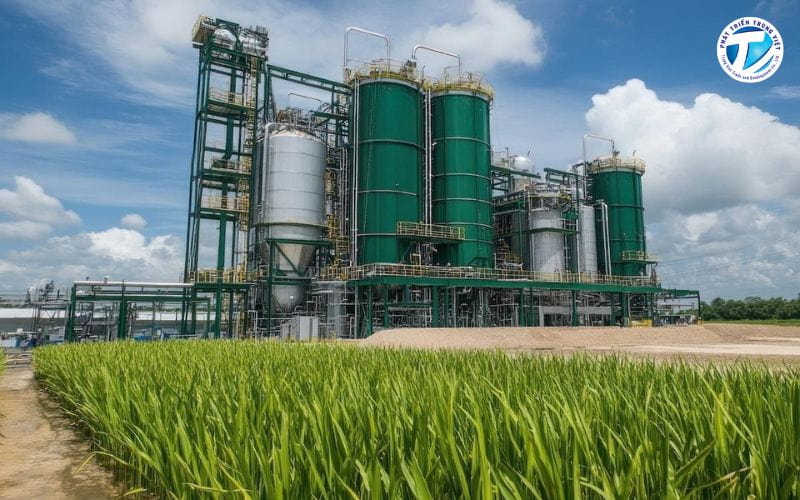 Nhiên liệu sinh học dùng trong giao thông vận tải